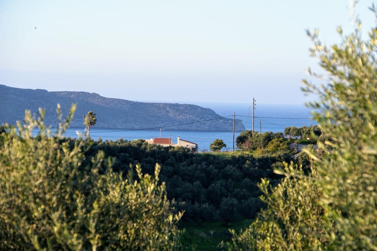 Olive Tree Hillside Apartment Stalós Exteriér fotografie