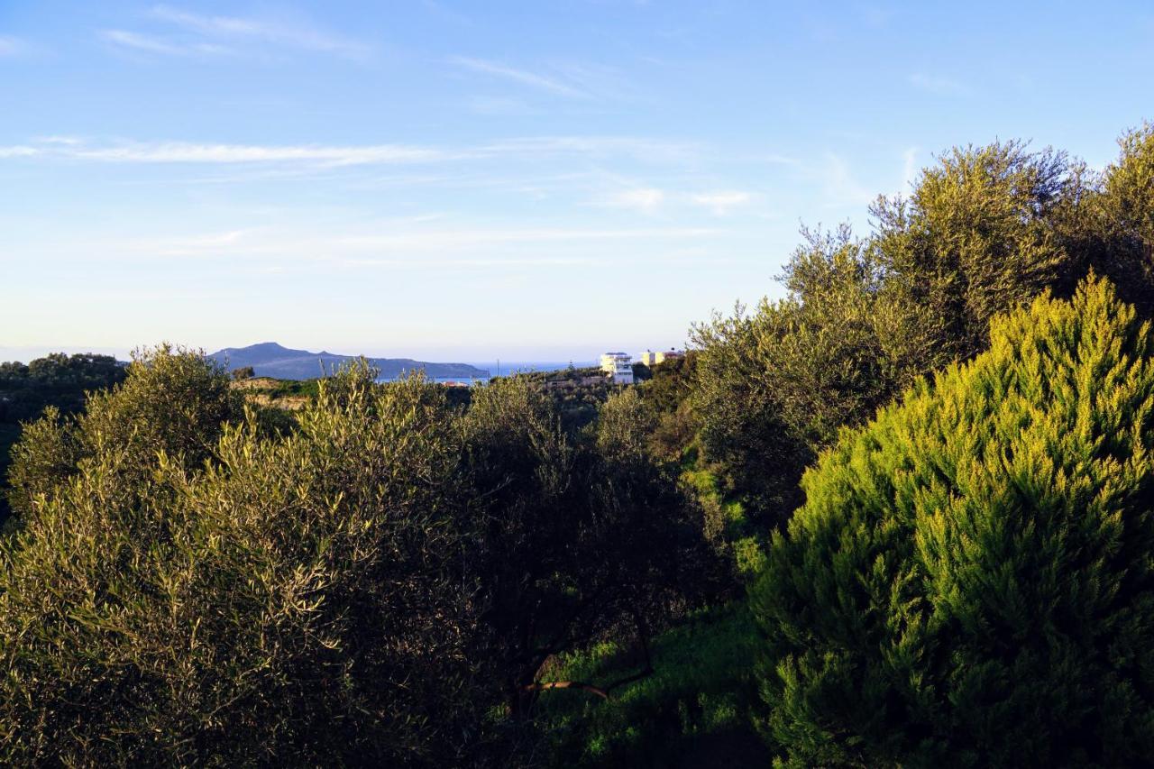 Olive Tree Hillside Apartment Stalós Exteriér fotografie
